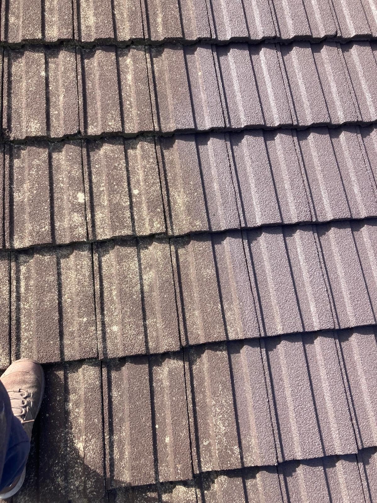 Travaux de peinture intérieure finition soignée